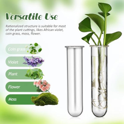 Yardwe 5Pcs Clear Glass Test Tubes Plant Propagation Station - Hydroponic Vases for Home and Office Decor