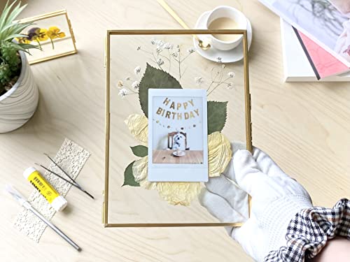 Beedecor Double Glass Frame for Pressed Flowers, Leaf and Artwork Set of 3 Pressed Flower Frames with Stand - 6x6, 5x7 and 6x8 Gold Standing Square Metal Picture Frames, Tabletop Clear Floating Pressed Glass Frame, Home Decor Photo Display (Gold, Set of 3