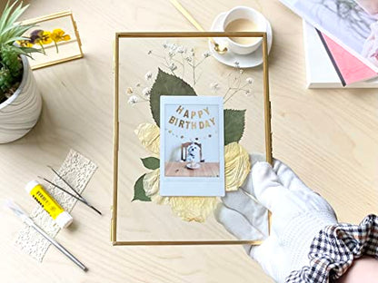 Beedecor Double Glass Frame for Pressed Flowers, Leaf and Artwork Set of 3 Pressed Flower Frames with Stand - 6x6, 5x7 and 6x8 Gold Standing Square Metal Picture Frames, Tabletop Clear Floating Pressed Glass Frame, Home Decor Photo Display (Gold, Set of 3