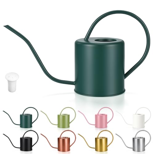 Plant Watering Can, 50 oz / 1500 ml Stainless Steel Metal - Modern Decorative with Long Spout for Indoor Potted Plants, Bonsai, Garden Flowers, Alpinegreen - color: Alpinegreen