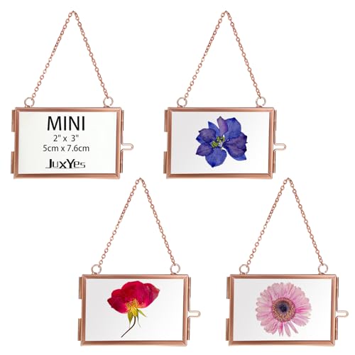 JUXYES 2x3 Hanging Mini Double Glass Picture Frame for Pressed Flower | 4 Pack Wallet Size Tiny Frame Ornament for Xmas Tree Party Wall Decor, Small Rose Gold Floating Display Frame with Chain - color: Rose Gold, size: Horizontal