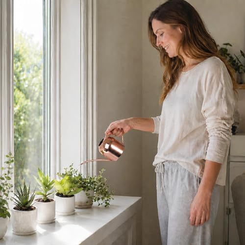 IMEEA Mini Indoor Watering Can for Small Plants, Stainless Steel with Long Spout, 15oz/450ml – Perfect for Desk, Windowsill & Bonsai - color: 15oz (Rose Gold)