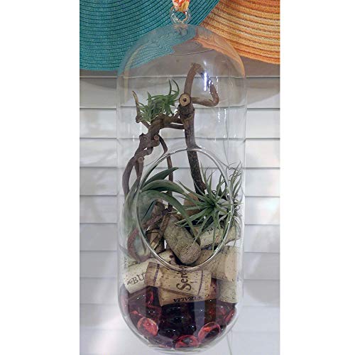 WGV Hanging Glass Plant Terrarium Bulk, Width 5", Height 12", Lantern DIY Air Succulent Planter Clear Tea Light Votive Candle Holder, Wedding Event Office Home Outdoor Decor, 12 Pieces