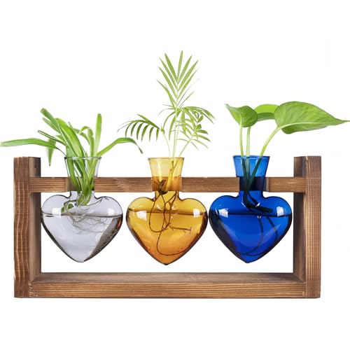 Kingbuy 3-Heart Plant Terrarium Kit with Vintage Wood Stand - Stained Glass Vase Propagation Station, Wall-Mounted & Tabletop Indoor Decor for Home Kitchen Wedding Gift (Grey, Amber, Blue) - color: Mix - B