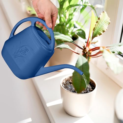ZXJ Plant Watering Can - for Indoor and Outdoor Home Garden Plants - with Long Spout - Blue - 1/2 Gallon - color: Blue