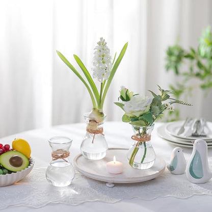 Small Glass Vases for Centerpieces - Hewory 12pcs Clear Mini Hyacinth Avocado Growing Bud Vase Bulk, Cute Tiny Flower Bulb Forcing Plant Containers Set for Wedding Home Living Room Table Decorations