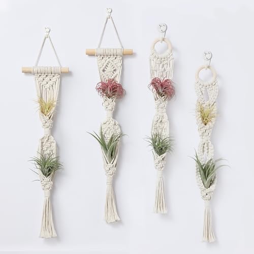 2 Tier 4 Pack Air Plant Holder, Air Plant Wall Hanger | Wall Planter, Macrame Plant Hanger, Air Plant Wall Hanging, Air Plant Wall Decor, Wall Planters for Indoor Plants - color: White, size: 2-Tier