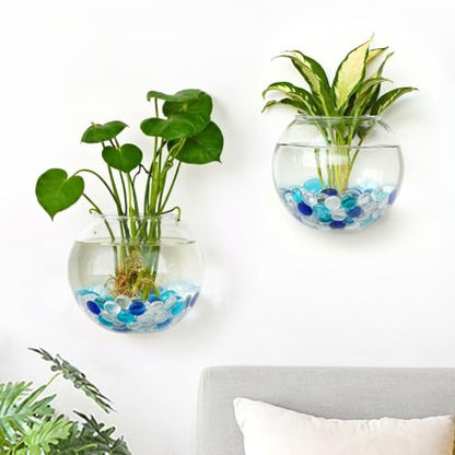 DomeStar Set of 2 Wall Vases, Wall Mounted Propagation Station | Hanging Glass Vases, Terrarium Station for Hydroponics, Plants Home Office Decor (5 Inch) - size: 2pcs