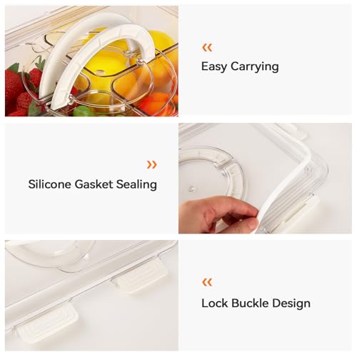 Divided Serving Tray with Lid & Handle, 4 Compartment Removable Snack Box, Kitchen Organizers and Storage, Snackle Box Container, BPA-Free Fruit Storage Container for Berry, Snack, Candy, Nuts…