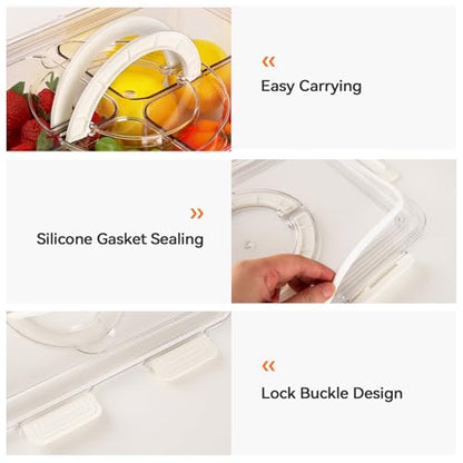 Divided Serving Tray with Lid & Handle, 4 Compartment Removable Snack Box, Kitchen Organizers and Storage, Snackle Box Container, BPA-Free Fruit Storage Container for Berry, Snack, Candy, Nuts…
