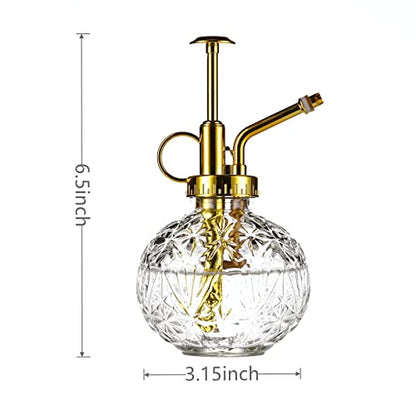 Glass Plant Mister Spray Bottle, 6.5" Clear Glass Water Spray Bottle with Gold Top Pump Small Watering Can, Small Plant Sprayer Mister for Indoor Outdoor House(Clear+Gold E) - style: Clear+Gold E
