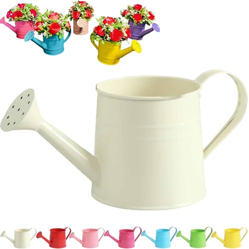 Tinplate Watering Kettle 1L, Mini Metal Watering Can with Long Spout and Handle, Vintage Flower Sprinkling Can for Indoor Plants, Patio and Garden Use (White-A06) - color: White-a06