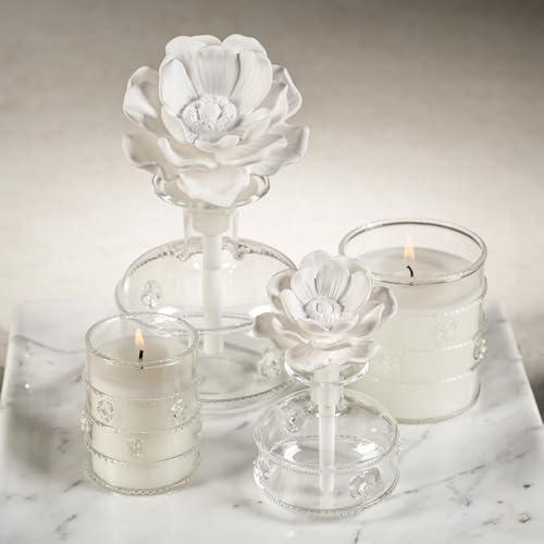 Zodax Grand Casablanca Scented Jar Candle, 6.5 oz - Water Lotus | Decorative glass jar candle, Clean aquatic floral and herbal scent, 40 hours burn time, Gift box included - size: 6.5 oz/ 1 pack