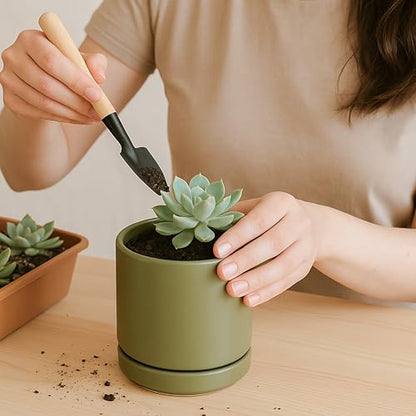 D'vine Dev 4-Pack Ceramic Pots with Saucers, Olive, 3.5 in, 94-X-A-0 | Glazed Ceramic, Drainage Hole and Saucer, Sleek Cylinder Shape, High Temperature Fired, Ideal for Small Houseplants - color: Olive, size: 3.5 Inch