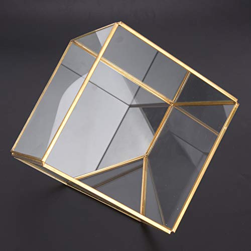 Geometric Glass Planter Gold Terrarium Container Home Desktop Decoration