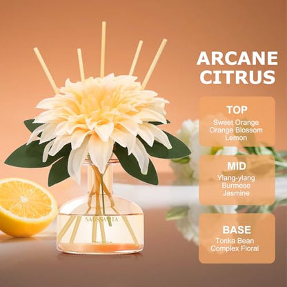 Reed Diffuser Set 7.10 oz Citrus Scented Room Air Freshener for 120 Days - color: Citrus Feast