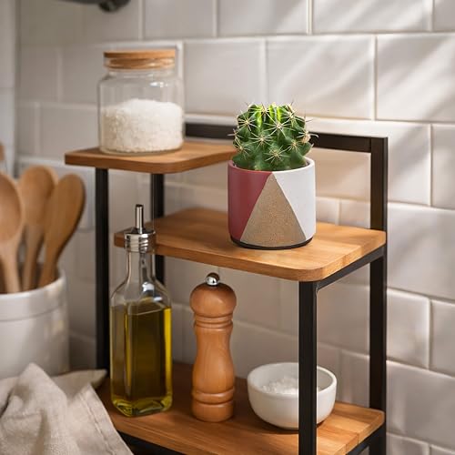 D'vine Dev 2-Pack Cachepot with Clear Pot, 3.5 in, Crimson Dune, 93-V-A-4 | Dual-Pot System, Root Visibility, Bottom Watering Support, Enhanced Drainage, Artistic Stoneware Design, Easy Plant Care - color: Crimson Dune, size: 3.5” Cachepot + 3“ Clear Grow