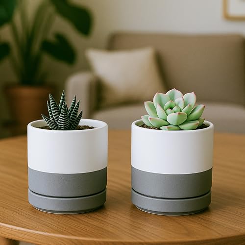 D'vine Dev 4-Pack Ceramic Pots with Saucers, White/Grey, 3.5 in, 94-X-A-6 | Glazed Ceramic, Drainage Hole and Saucer, Sleek Cylinder Shape, High Temperature Fired, Ideal for Small Houseplants - color: White/Speckled Grey, size: 3.5 Inch