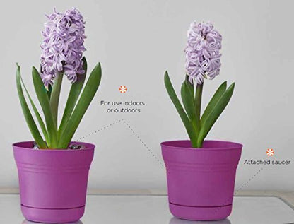 Bloem Saturn Planter with Saucer, 5", Amaranth (SP0522) - color: Amaranth, size: 5"