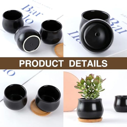 SHECIPIN 2 Pack Succulent Pots, 2.5 Inch Mini Ceramic Pots for Flower or Cactus Plants with Drainage Hole,Plants Not Included (Black) - color: 2 Pack Black Mini Pots