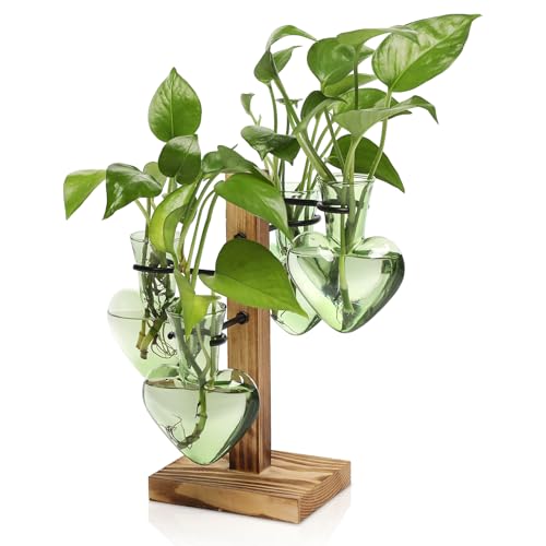 Plant Terrarium Propagation Stations with Wooden Stand | Glass Vase for Indoor Hydroponics Home Garden Office Decoration Gift for Women - 4 Love Bulb Vase - color: Green