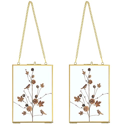 JUXYES 5x7 Hanging Double Glass Floater Picture Frame for Pressed Flowers | 2 Pack Vertical Brass Hanging Frame with Chain for Dried Flowers, Gold Floating Frame Ornament for Post Card, Plant, DIY - color: Vertical, size: 5" x 7"