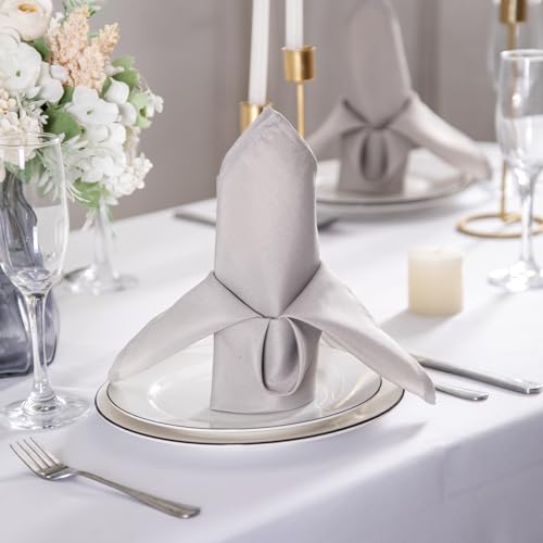 Bailarina Cloth Napkins Set of 80,17x17 inches Dinner Napkins Cloth Washable,Polyester Square Table Cloth Napkin Bulk with Hemmed Edges Ideal for Banquets, Parties and Weddings-Silver - color: Silver