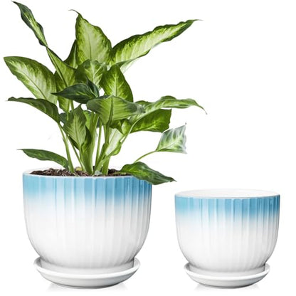 6.7 + 5.5 Inch Ceramic Plant Pots,Planters with Drainage and Saucer,Indoor Pots for Plants,Modern Flower Pots for Home and Office（Blue + White） - color: Blue + White