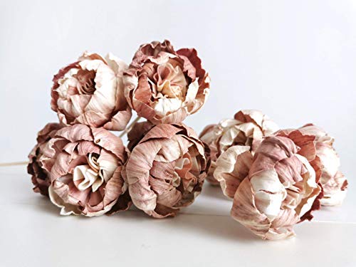 10 Rare Natural Pink Peony 1.5" Sola Flower Reed Diffuser for Home Fragrance Oil