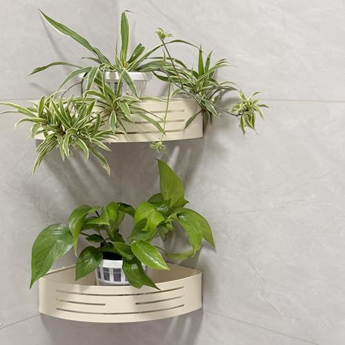 Set of 3 Plastic Window Planter with Suction Cup Holder. Large Window Popagation. Clear Self Watering Window Mounted Plant Pots. Window Sill Planters Extender for Indoor Hydroponic Plants
