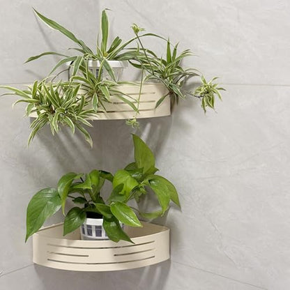 Set of 3 Plastic Window Planter with Suction Cup Holder. Large Window Popagation. Clear Self Watering Window Mounted Plant Pots. Window Sill Planters Extender for Indoor Hydroponic Plants