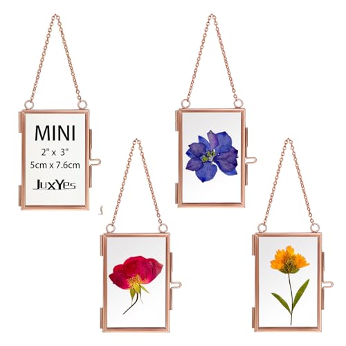 JUXYES 2x3 Hanging Mini Double Glass Picture Pressed Flower Frame Ornament | 4 Pack Wallet Size Tiny Frame Ornament for Xmas Tree Party Wall Decor, Small Rose Gold Floating Display Frame with Chain - color: Rose Gold, size: Vertical