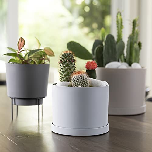 Bloem Mathers Planter w/Saucer Tray 8" Misty Blue (Pack of 3) - color: Misty Blue, size: 8" (Pack of 3)
