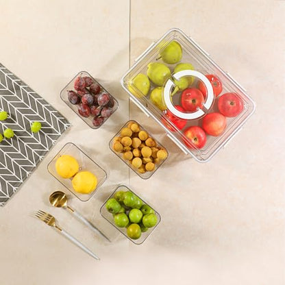 Divided Serving Tray with Lid & Handle, 4 Compartment Removable Snack Box, Kitchen Organizers and Storage, Snackle Box Container, BPA-Free Fruit Storage Container for Berry, Snack, Candy, Nuts…