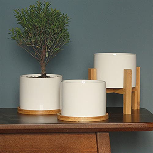 3 Pack Bamboo Saucer, 6 Inch Plant Saucer, 5" Cactus Plant Tray, Round Bamboo Tray for Modern Ceramic Flower Pot, Planter Pot, Cup Holder, Spoon Holder, Kitchen Utensil Rest - size: 6 Inch