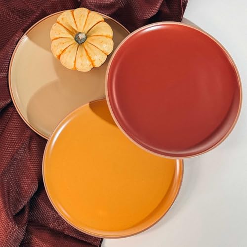 Mora Ceramic Artisan Matte Dinner Plates Set of 6, 10 inch Dish Set - Microwave, Oven, and Dishwasher Safe, Scratch Resistant, Modern Rustic Dinnerware- Kitchen Porcelain Serving Dishes - color: Artisan Matte