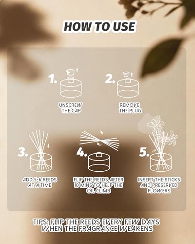 Reed Diffuser Set, Eucalyptus Lavender Scent, with 6 Reed Sticks | Long-Lasting Home Fragrance for Bedroom, Living Room, Office, Bathroom Shelf Decor, Neutralizes Bad Odors, Indoor Freshener