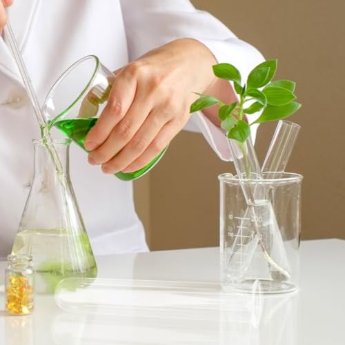 4Pcs Hydroponic Glass Tube Vases for Plant Propagation | Clear Glass Design, for Flower Arrangement, Desktop Shelf Bedside Decor, 15 x 3 cm Size