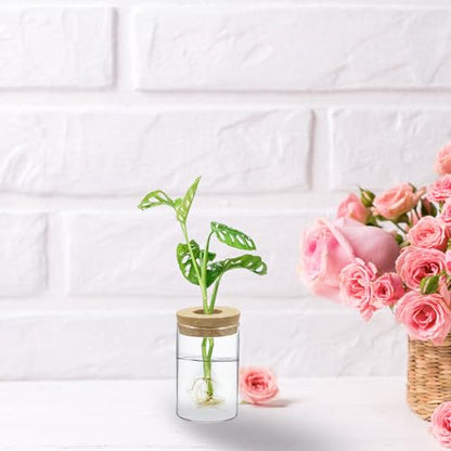 M METERXITY 1 Pack Glass Planter Terrarium with Wooden Cover, Desktop Plant Propagation Station Clear Vase for Hydroponic Plants Propagation/Home Garden Decor/Plant Lover [2.56'' x 3.94''] - size: 2.56'' x 3.94''