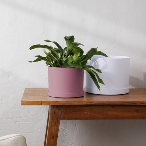 Bloem Mathers 6" Plastic Planter - Modern Indoor Pot with Drainage Holes and Saucer Tray, Dusty Rose - color: Dusty Rose, size: 6 "