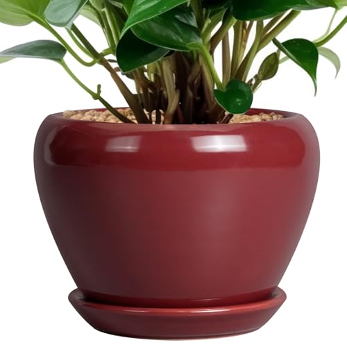 Ceramicfor Ceramic Pot for Plants - 6 Inch Plant Pot Indoor with Drainage Hole and Saucer Succulent Outdoor Planter Round Flower Pot for House Patio Decor Red - color: Red, size: 6 Inch