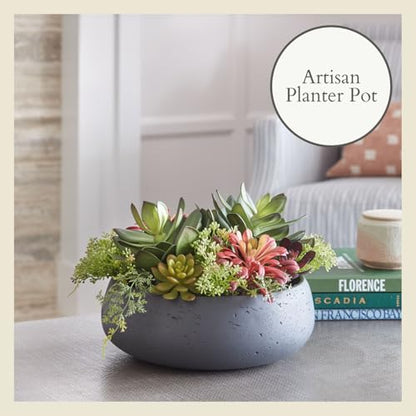 CG Hunter Faux Succulent Arrangement, Premium Artificial Indoor Plant Enhances Interior Design, Display on Any Surface in Your Home Adding an Inviting Touch of Nature, Grey Planter Pot Included - size: 14" Round Grey