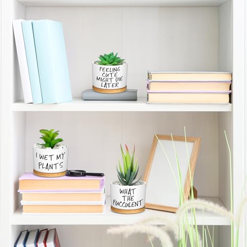 9 Pcs Funny Succulent Pots Ceramic Planters Bamboo Tray,Funny | Cute Aloe Cactus Planters with Drainage, White Mini Pots for Indoor Desk Decor, Birthday Housewarming Gifts for Women