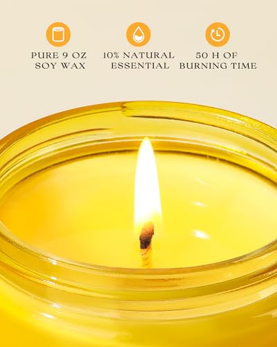AOOVOO Citrus Lemon 2 Pack Odor Eliminating Candle - 18oz Soy Candle | Eliminates 95% of Pet, Smoke, Food, and Other Smells Quickly, Non Toxic Air Freshing Candle, Up to 100 Hours Burn time - size: 18 Ounce (Pack of 2)