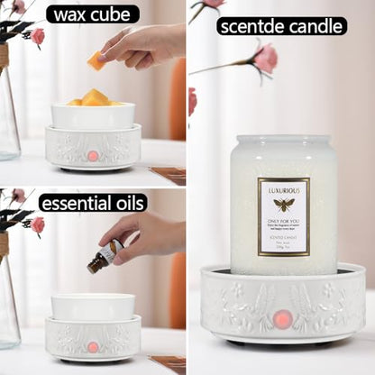 Wax Melt Warmer for Scented Wax,Ceramic Wax Warmer Fragrances Candle Oils | Home Fragrance Wax Burner,True White Electric Candle Warmer as Gifts for Mom Women(Hummingbird) - color: White Hummingbird
