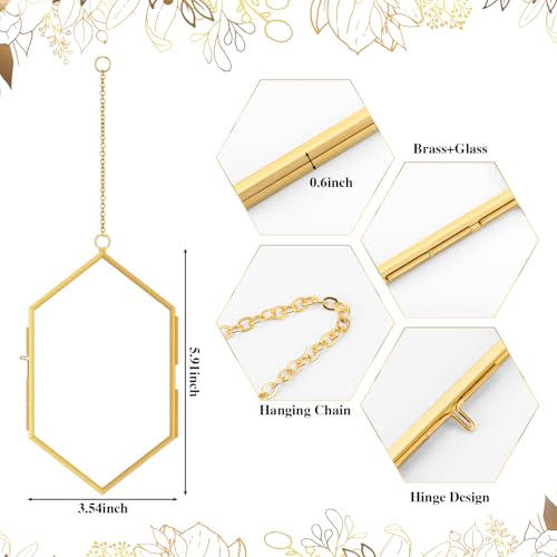 Qunclay 4 Pcs Floating Flower Frame Hanging Pressed Flower Frame DIY Hexagon Glass with Chain Double Floating Picture Geometric Wall Decor for Picture in Home Gallery Gradution