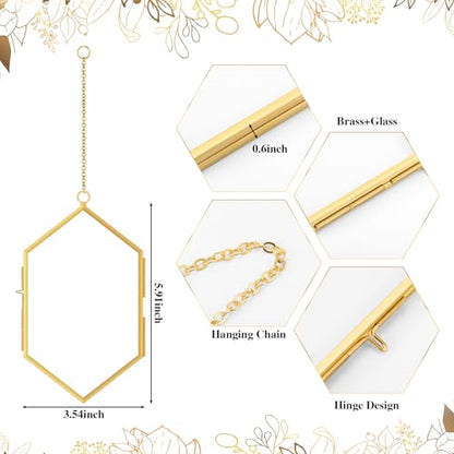 Qunclay 4 Pcs Floating Flower Frame Hanging Pressed Flower Frame DIY Hexagon Glass with Chain Double Floating Picture Geometric Wall Decor for Picture in Home Gallery Gradution