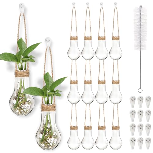 12 Pack Hanging Plant Propagation Stations 3.9 Inch Plastic Propagation Vases with Hooks and Cleaning Brush Clear Window Wall Jars for Home, Office, Bathroom Decor, Gift for Plant Lovers