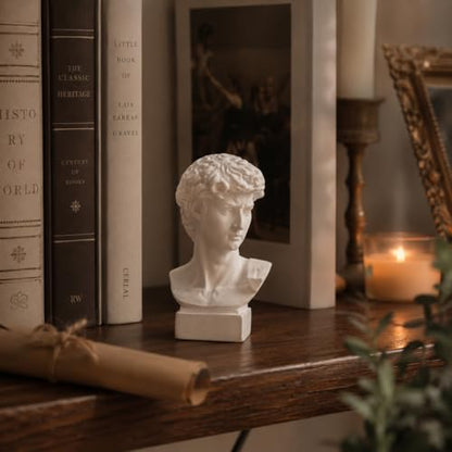 Resin Bust Statue 2.76 Inch Plaster Figurines Mini Home Decoration Sculpture White for Art Hobbyist-David - size: David