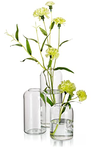 Hewory Modern Glass Bud Vase for Flower: 3PCS Blown Clear Small Vase Bulk | Mini Centerpieces for Wedding, Party, Events, Floral Arrangement for Table, Home Decor, Highball, Simple, Medium Bottle, Jars - color: Clear, size: 1set (3pcs)